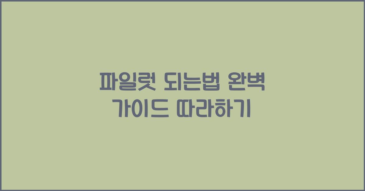 파일럿 되는법
