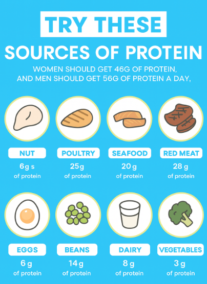 여러 단백질 식품과 단백질 함량을 정리한 인포그래픽 이미지