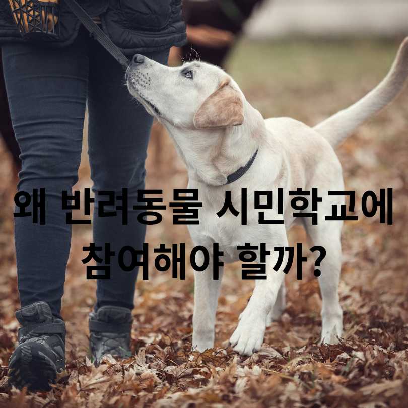 서울 반려동물 시민학교 신청 방법 총정리