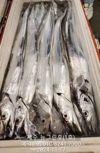 제주 갈치 낚시 물때 포인트_7