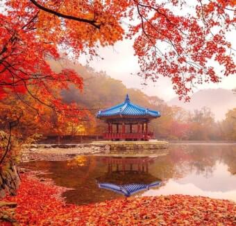 가을 풍경