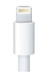 애플 8핀 라이트닝 케이블 단자