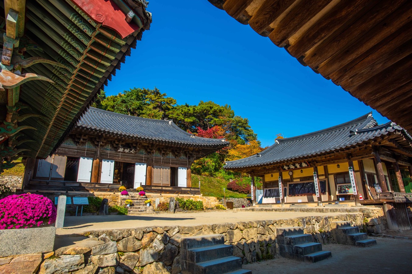 봉정사