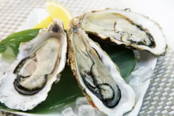 통영굴 가격 및 효능, 영양성분과 주의점
