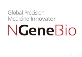 엔젠바이오 주가