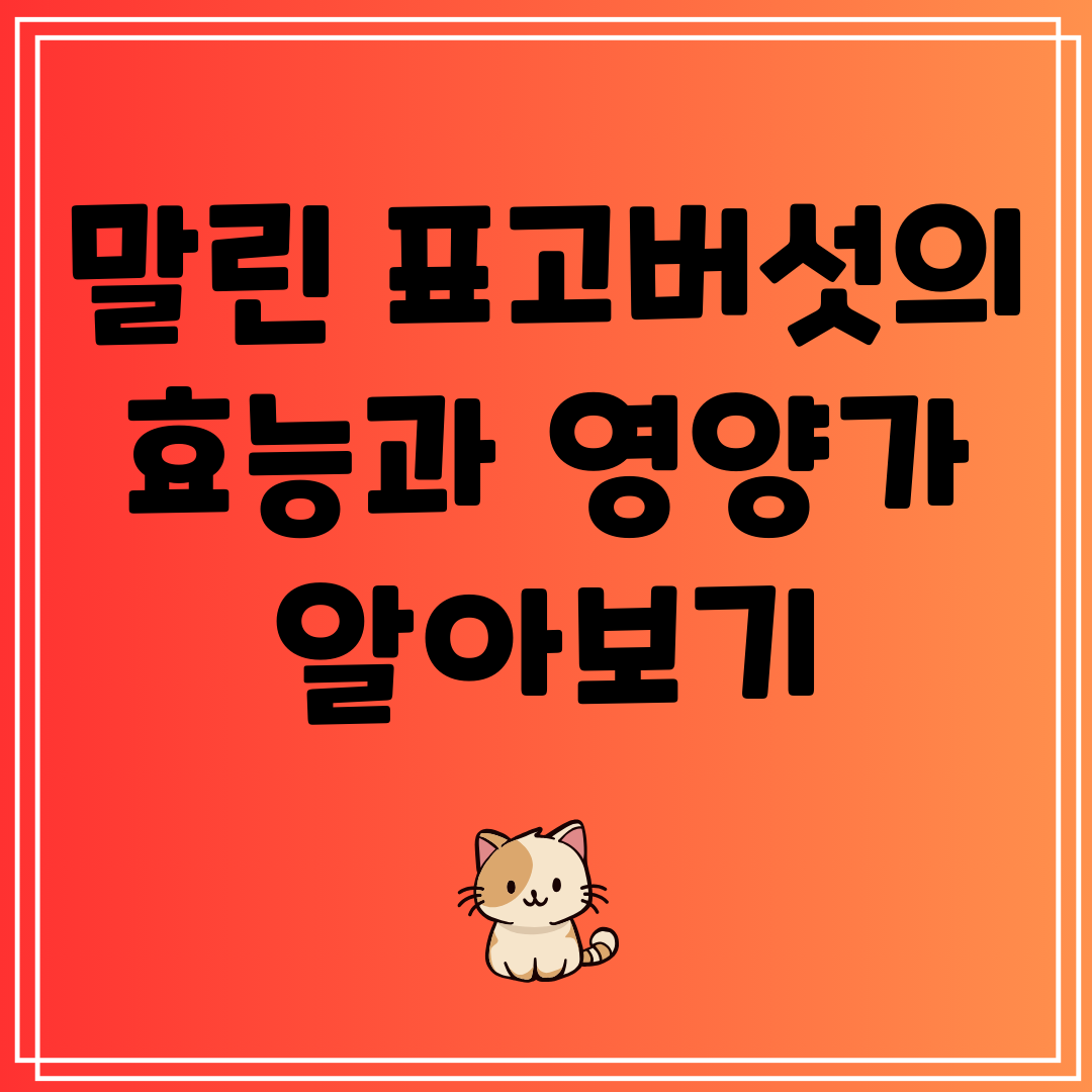 말린표고버섯의효능과영양가알아보기