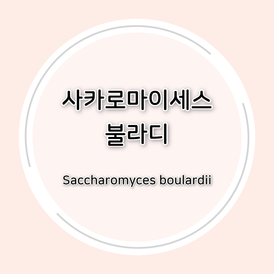 사카로마이세스 불라디(Saccharomyces boulardii)효능 정리