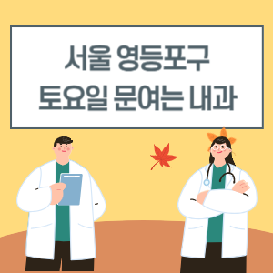 서울 영등포구 토요일 문여는 내과 토요일 내과 진료 병원 리스트