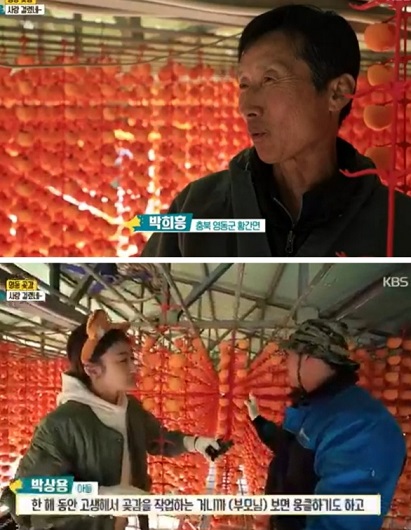 충북-영동-반건시-곶감