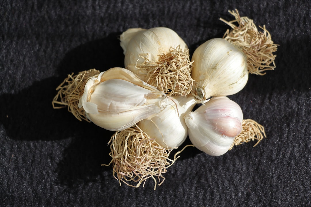 Garlic.