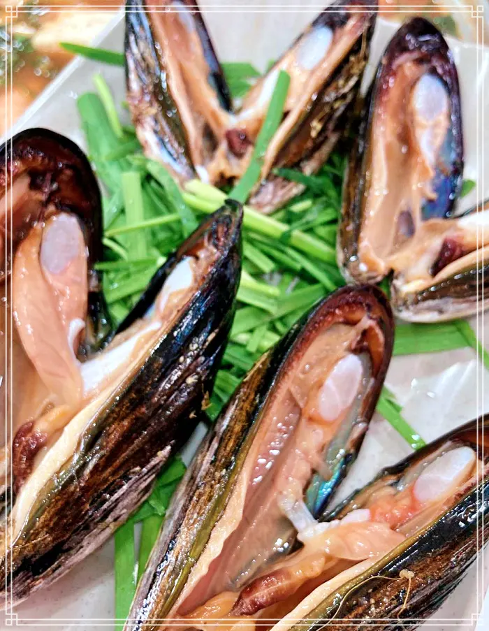 MBN 생생정보 마당 강원 양양 직접 잡은 뻘낙지, 낙지볶음 맛집