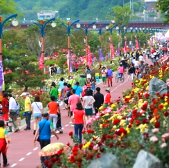 2024 삼척 장미축제 행사일정