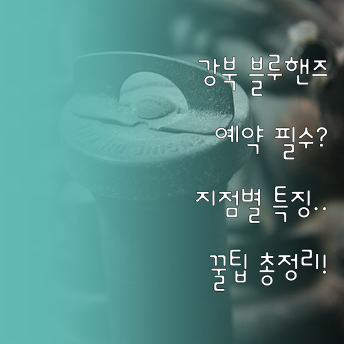 서울 강북구 현대자동차 블루핸즈 지점..