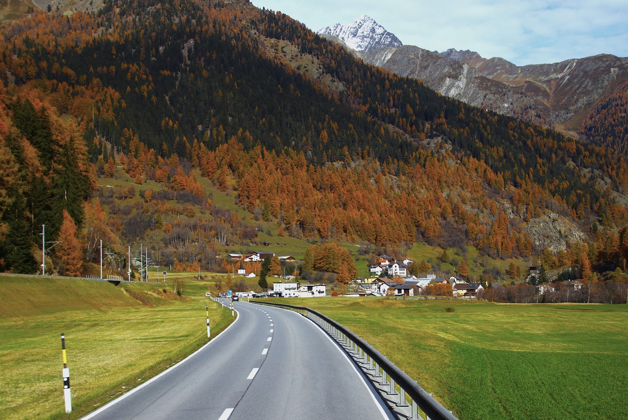 단풍 배경 관련 사진