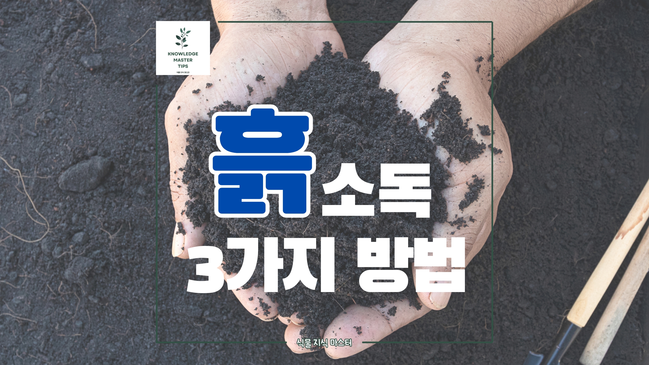 흙 소독 3가지 방법, 분갈이 전 소독하세요