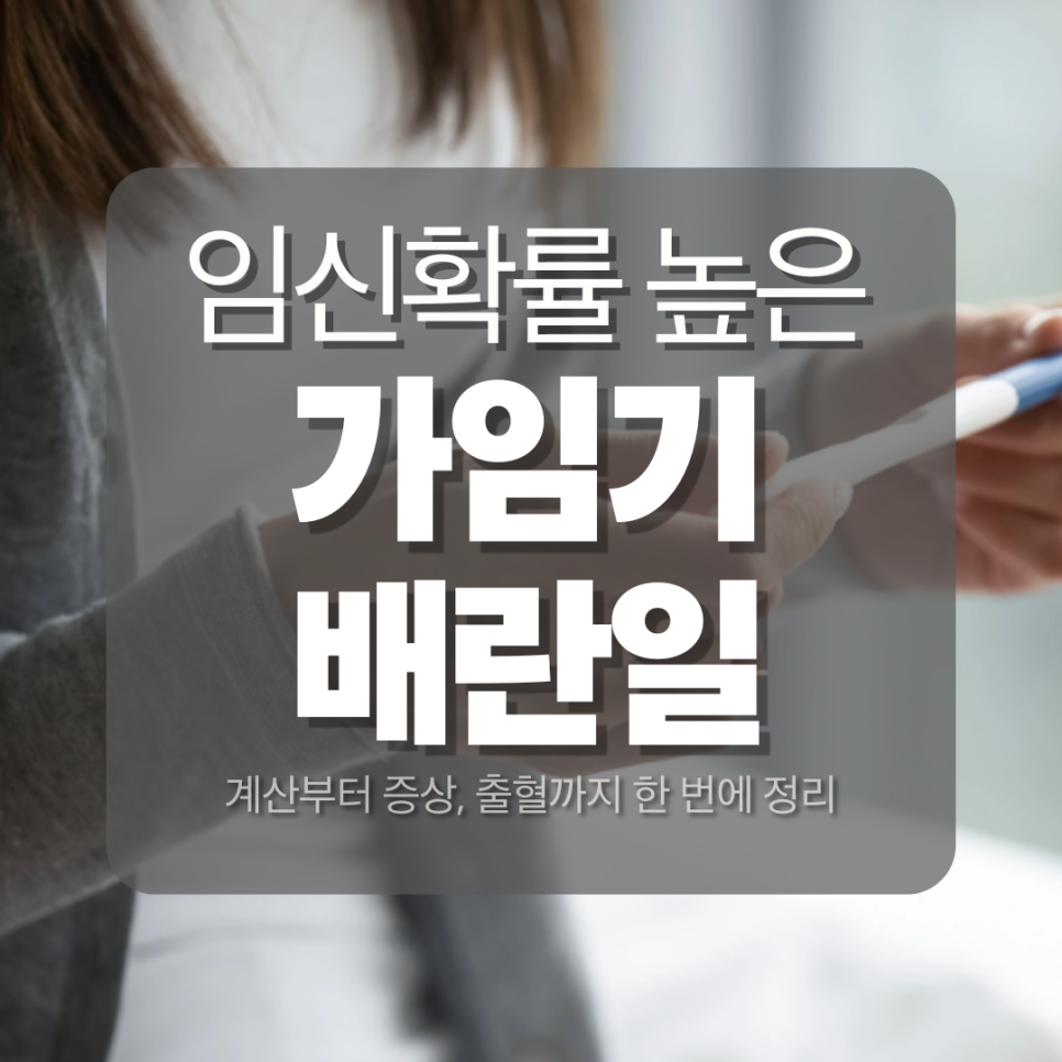 가임기 배란일