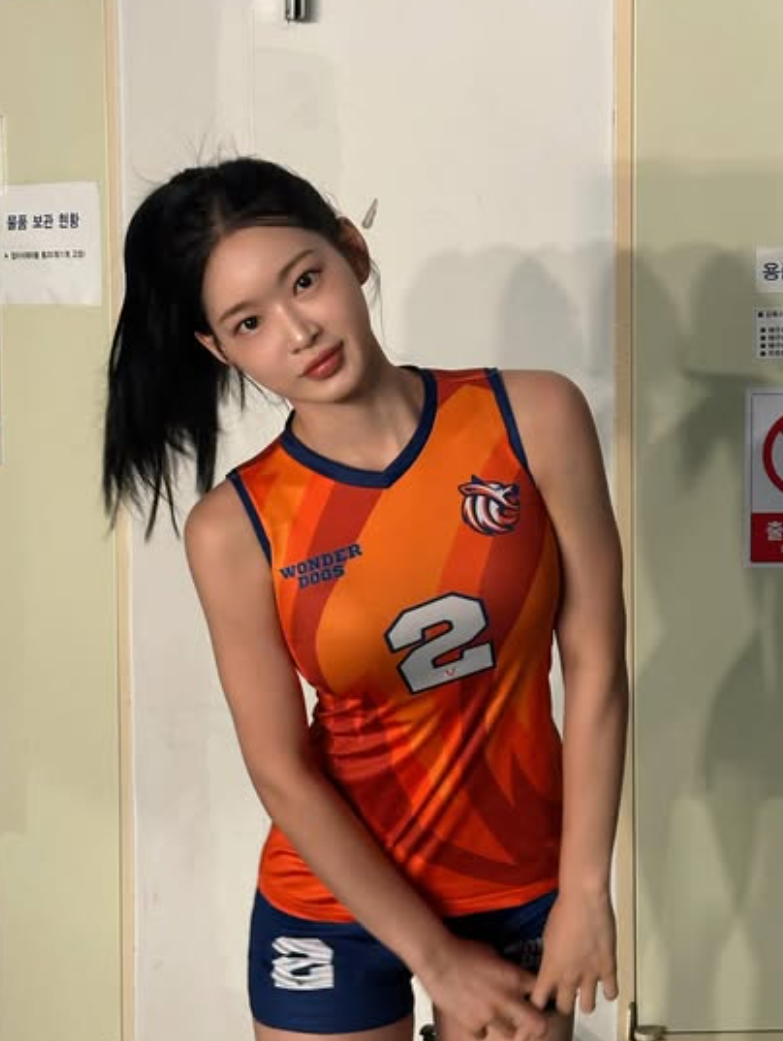 이진 배구선수 프로필 나이 키 총정리, IBK부터 김연경 원더독스까지