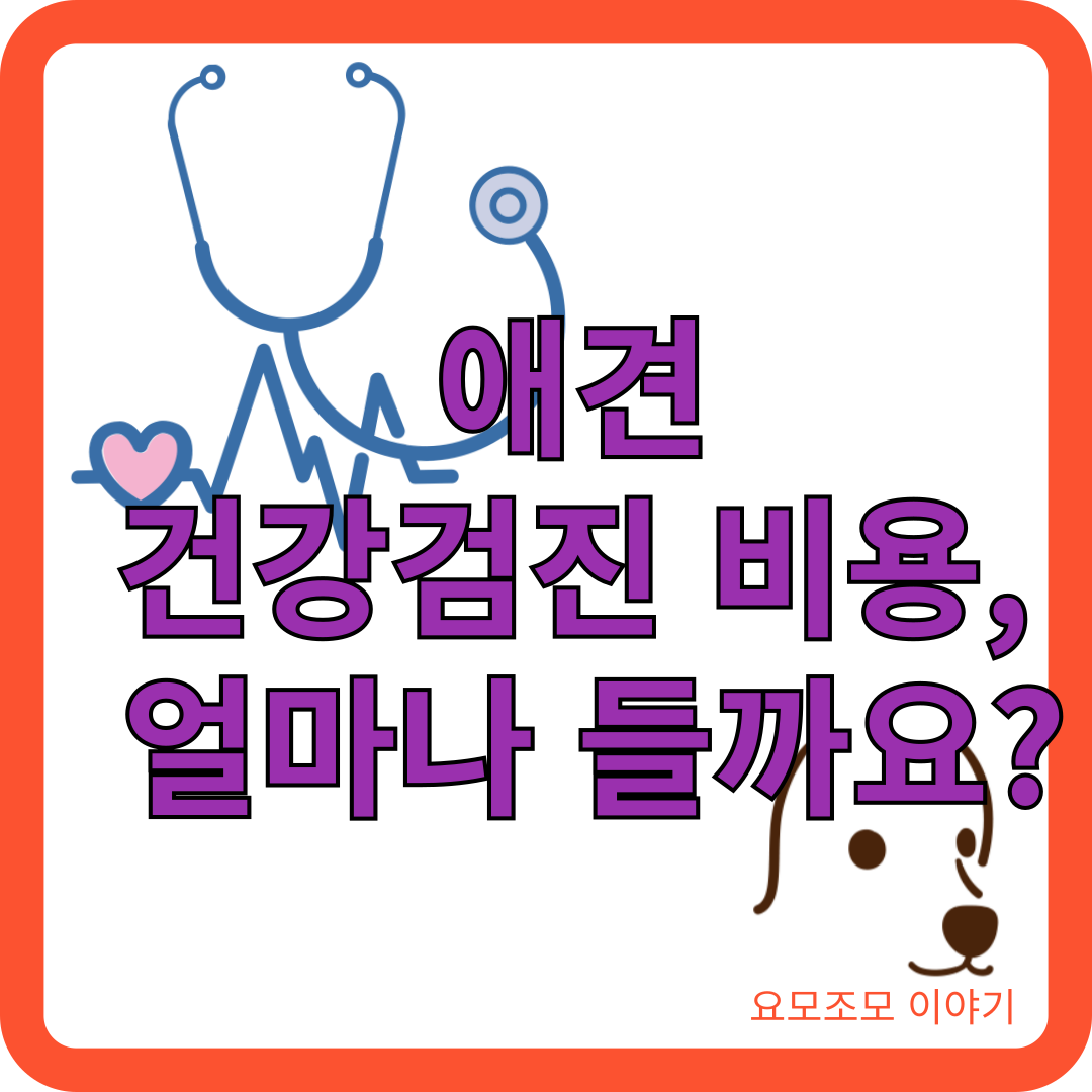 애견-건강검진-비용