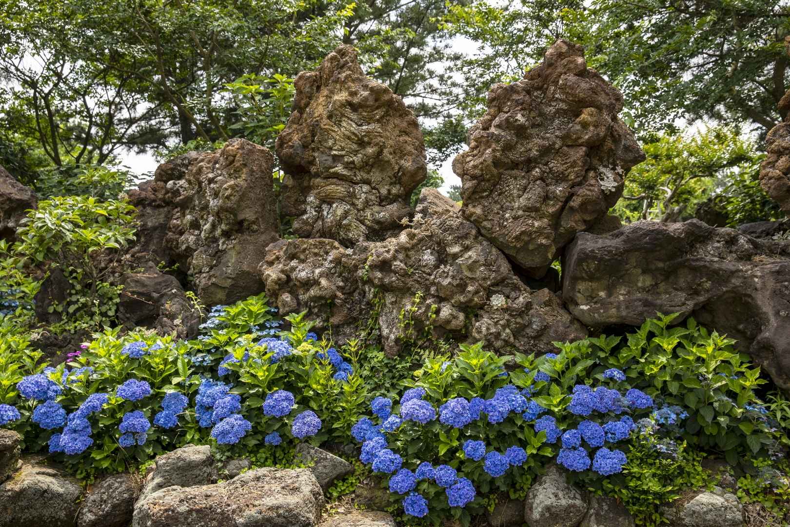 제주 동화마을