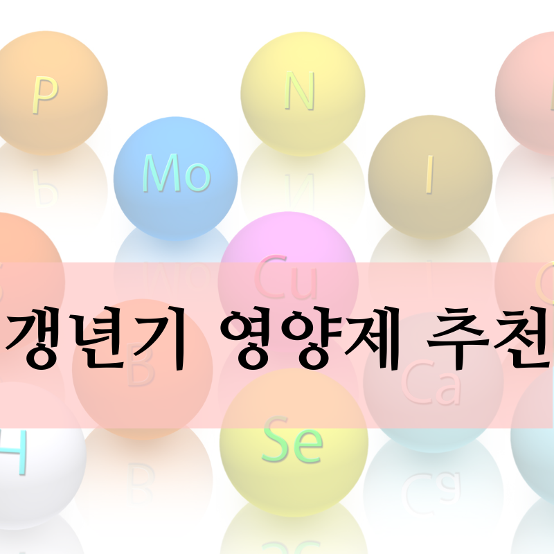 갱년기 영양제 추천