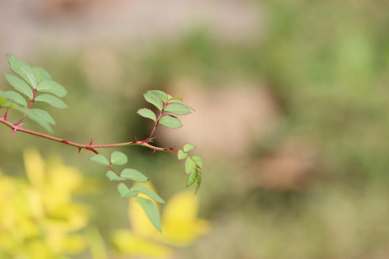의성 산불 피해 가계·중소기업을 위한 금융지원