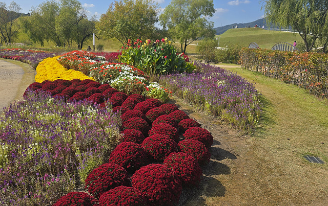 2025 순천만국가정원 입장료 추천코스 스카이큐브 순천여행 근처맛집 현지인추천 맛집 주차장 동문 서문 편의시설 예약 정원해설