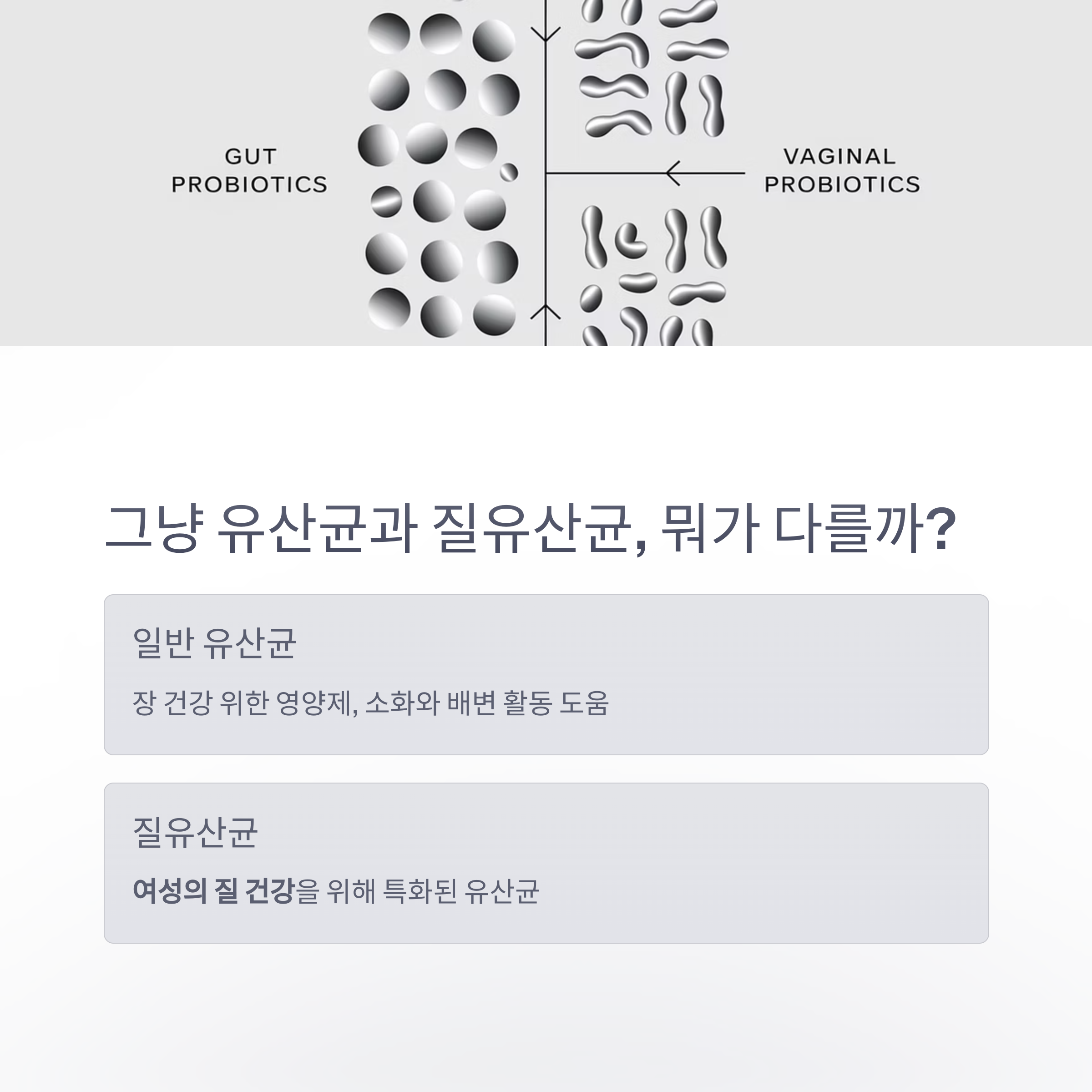 질유산균 – 일반 유산균과의 차이점