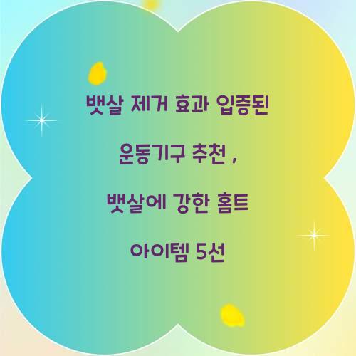 뱃살 제거 효과 입증된 운동기구 추천