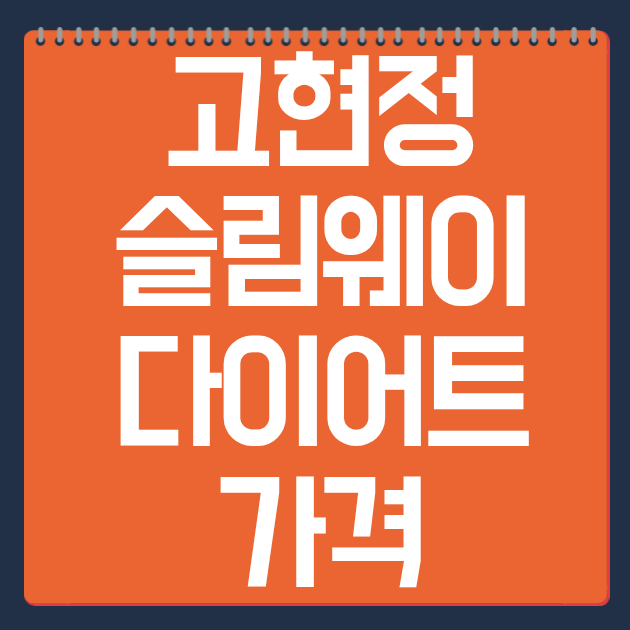 고현정 슬림웨이 다이어트 가격