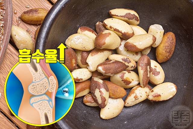 무릎 연골재생 음식 브라질너트 무릎연골에 좋은 음식