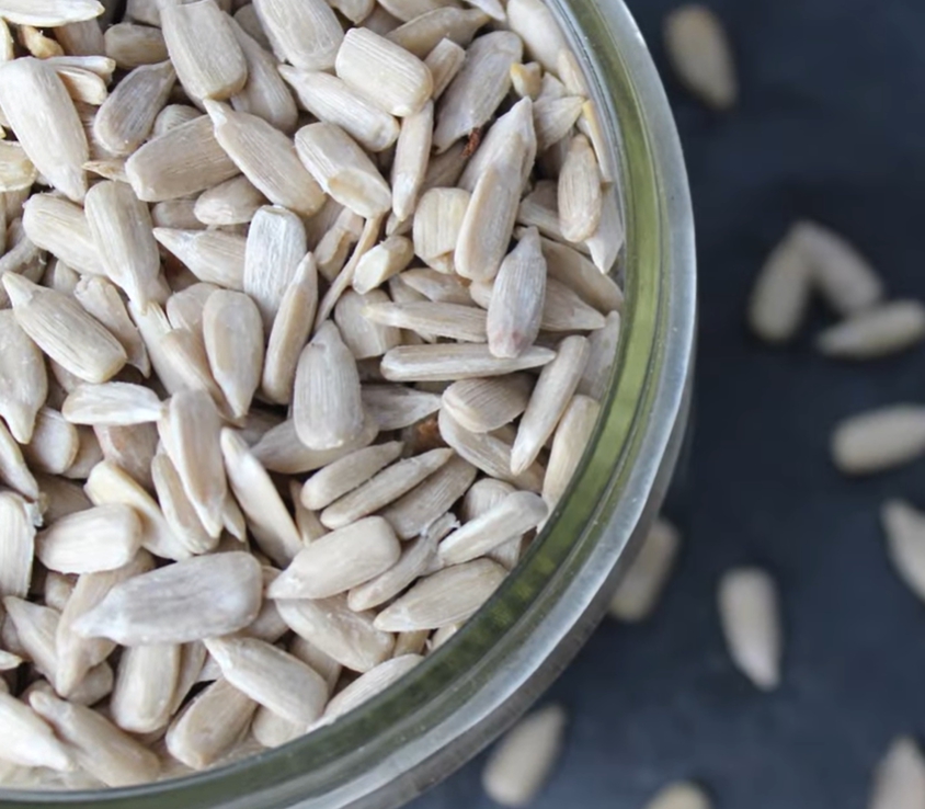 해바라기 씨 효능