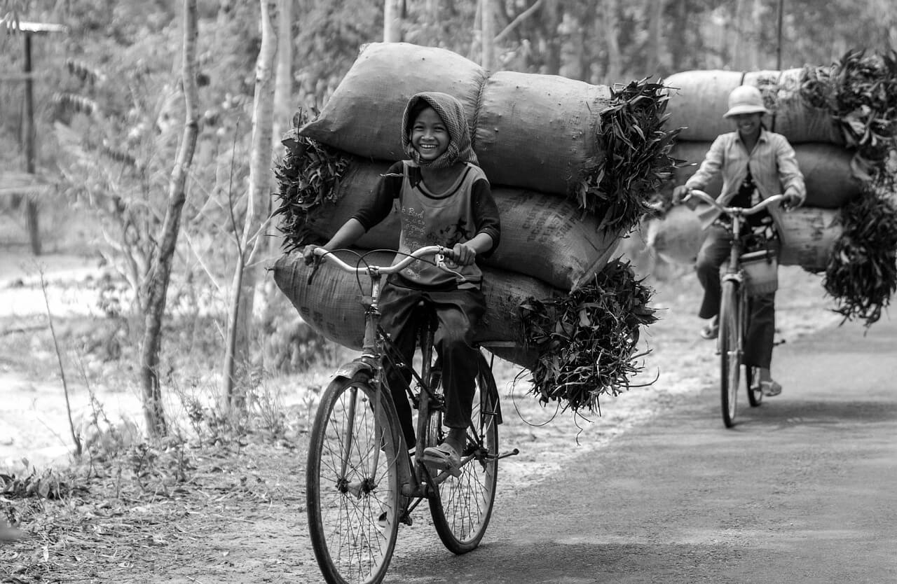 고향사랑기부제 연말정산