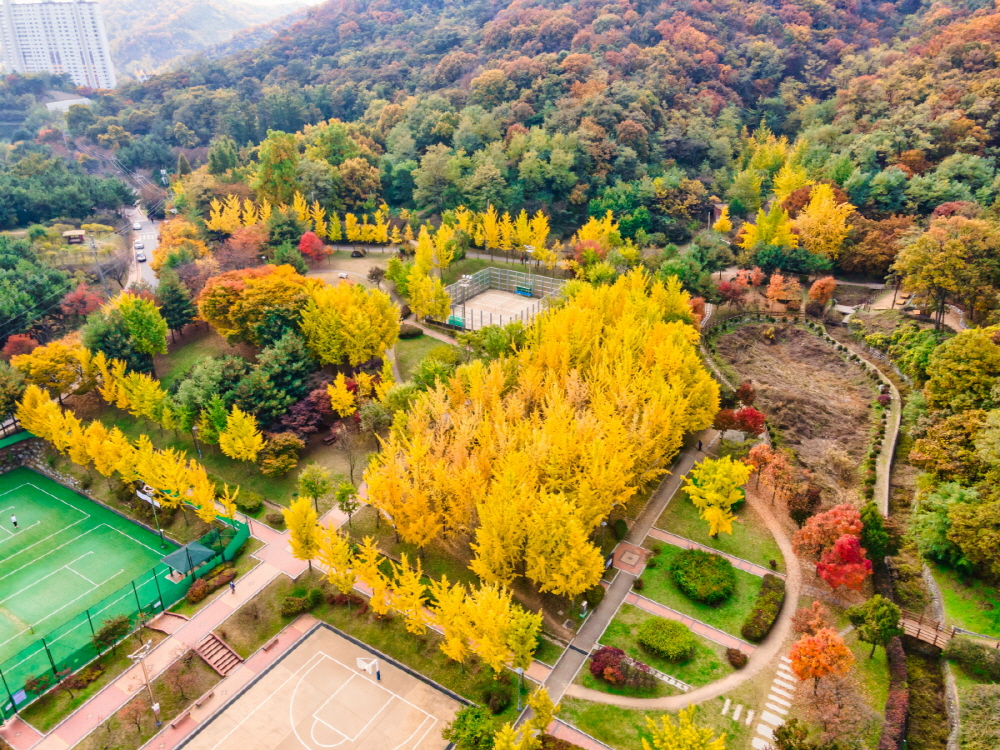 인천 갈만한곳 당일치기 여행 (SNS 인천 핫스팟) - 계양산 무장애숲길, 인천대공원, 드림파크 야생화 공원, 청라 커널웨이, 원적산공원, 강화나들길(19코스 석모도 상주 해안길), 무의바다누리길, 월미바다열차