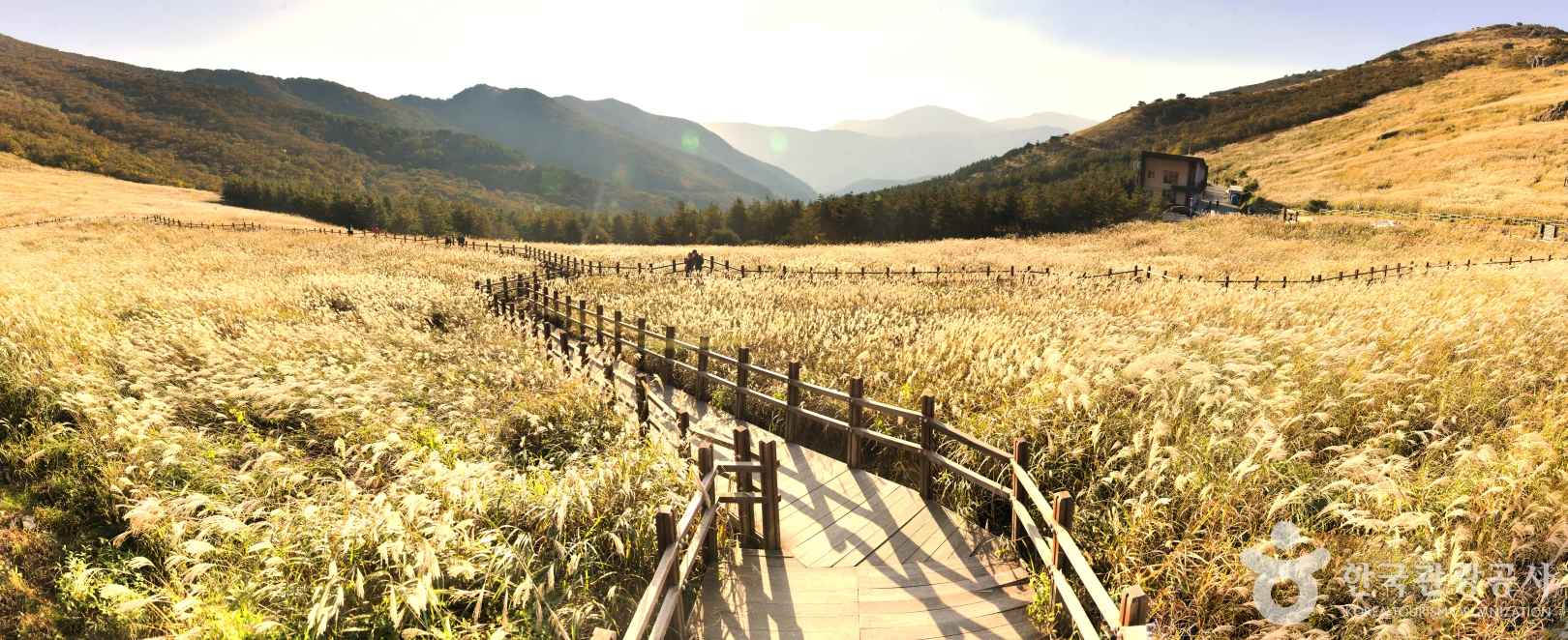 울산 간월재 등산코스