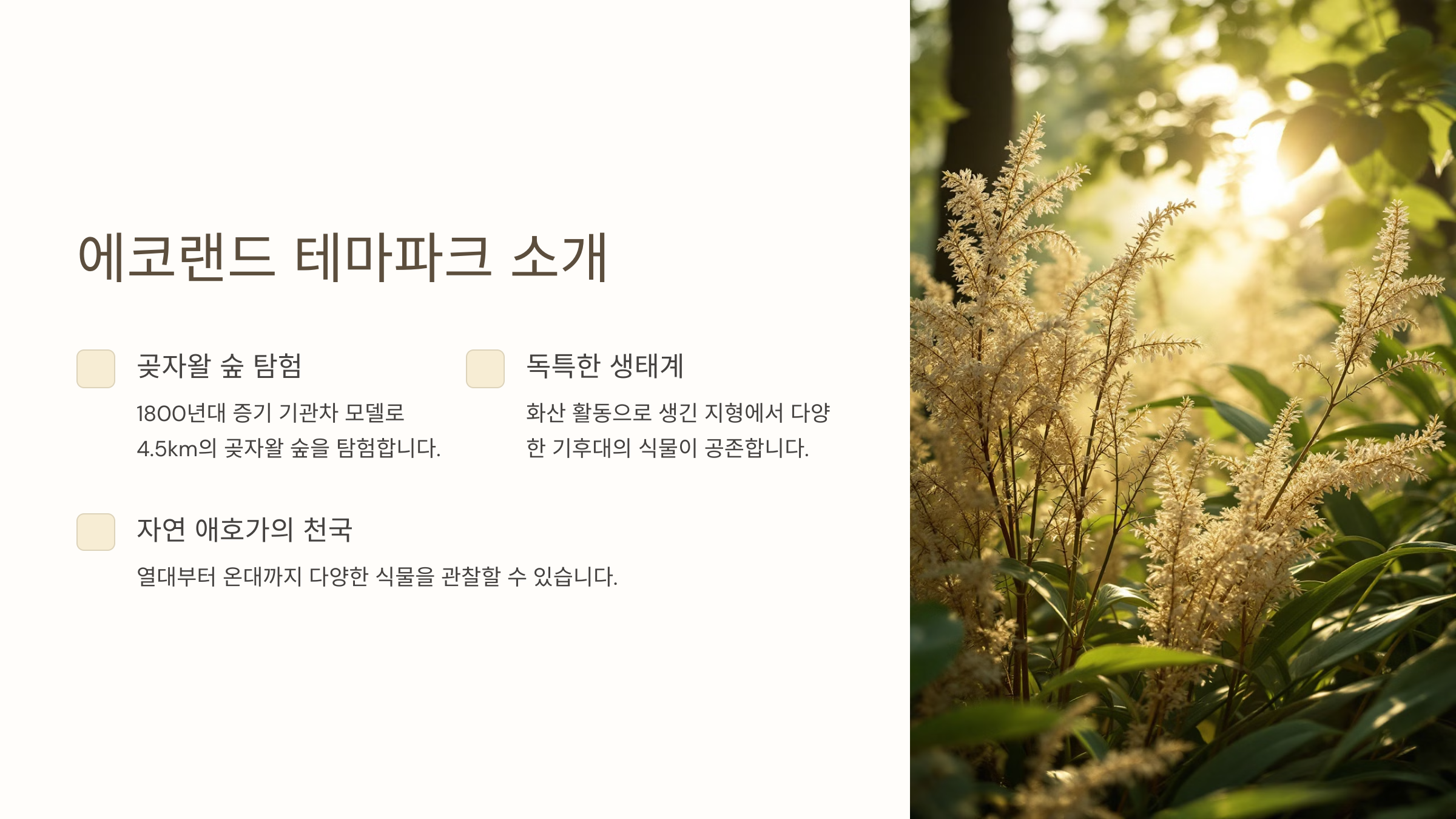 제주 에코랜드 테마파크 완전 정복! 곶자왈 숲과 기차 여행의 매력