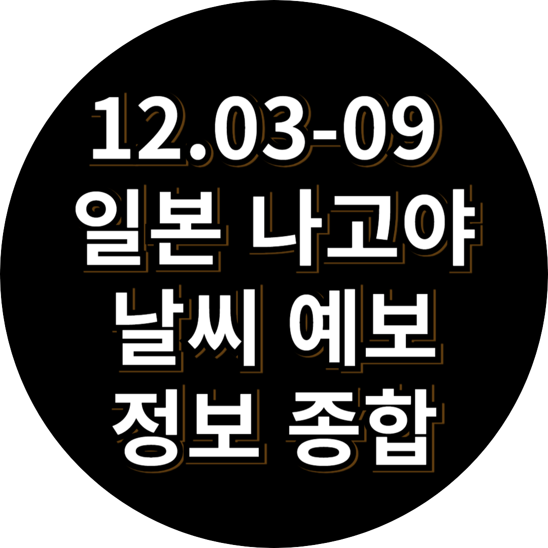 12월 나고야 날씨 정보