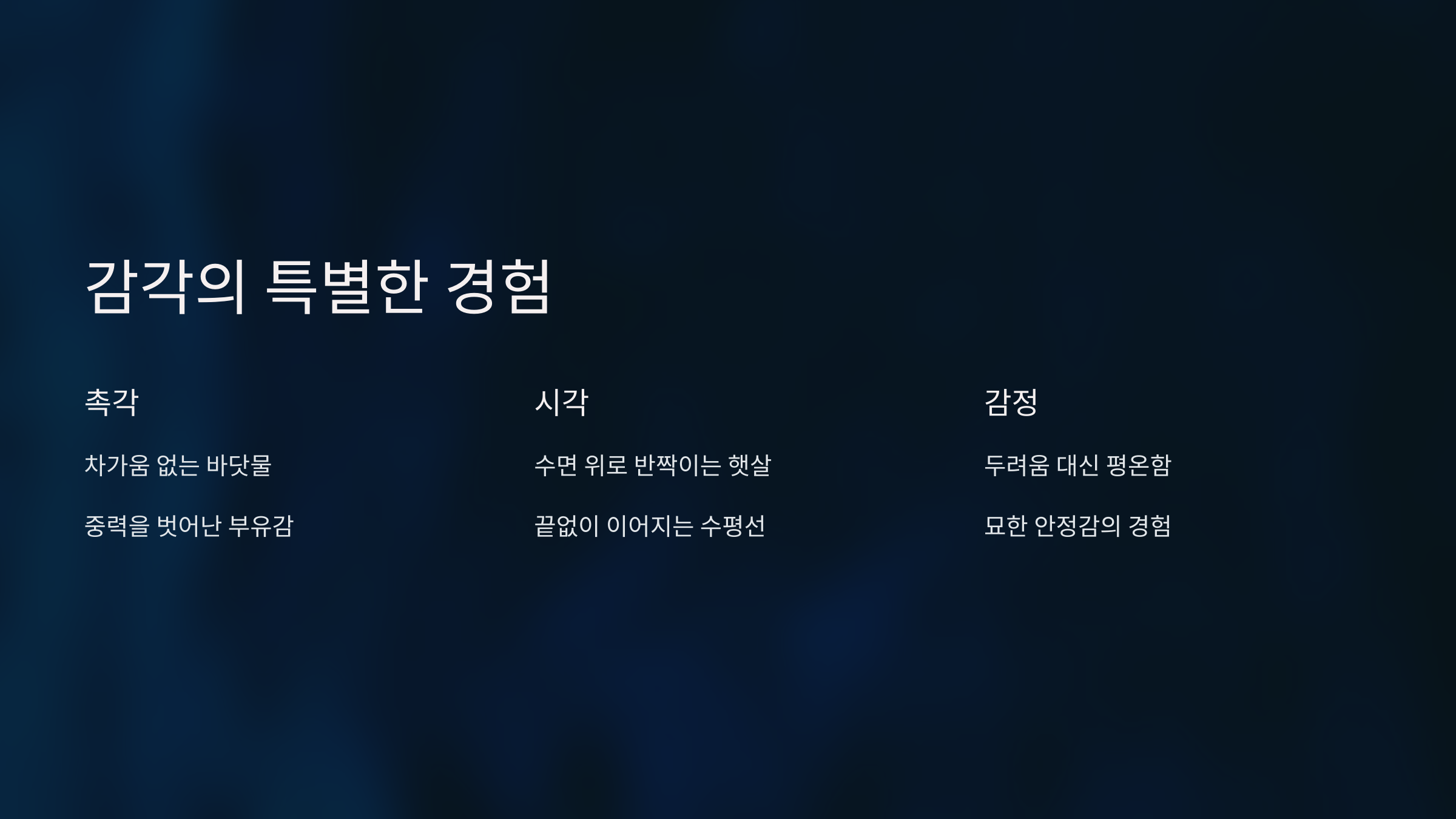 감각의 특별한 경험