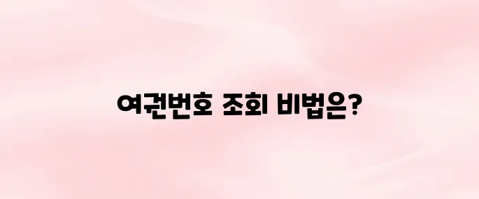 여권번호조회 및 미성년자 여권번호 조회 방법