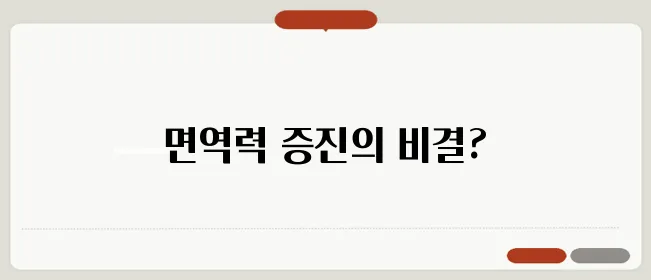 더덕 효능 한번 정확하게 알아보도록 하죠