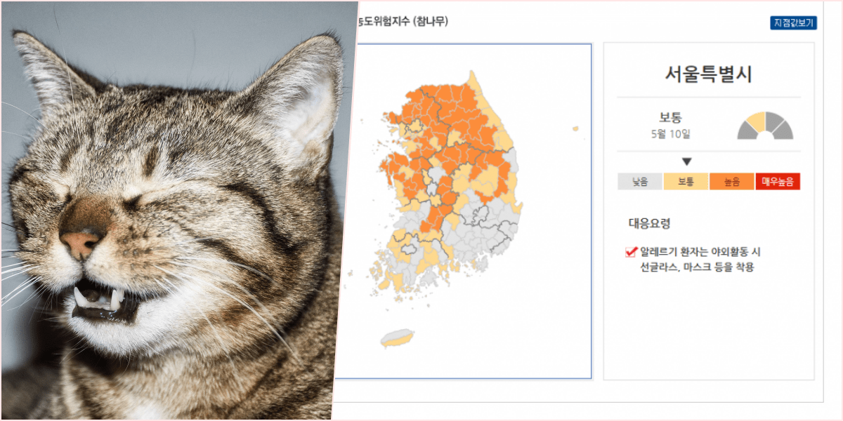 꽃가루 지수