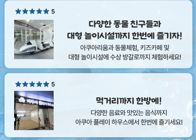 부산 명지 아쿠아 키즈카페 아쿠아플레이하우스