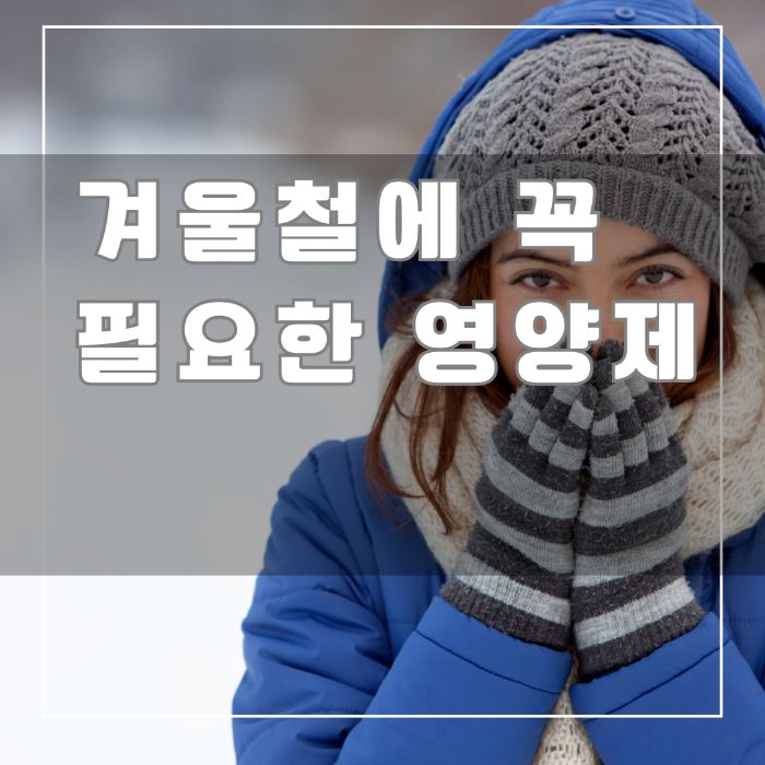 겨울철에 꼭 필요한 영양제