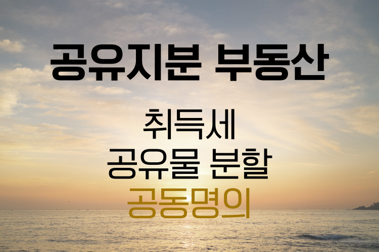 공유지분 부동산 취득세 관련사진