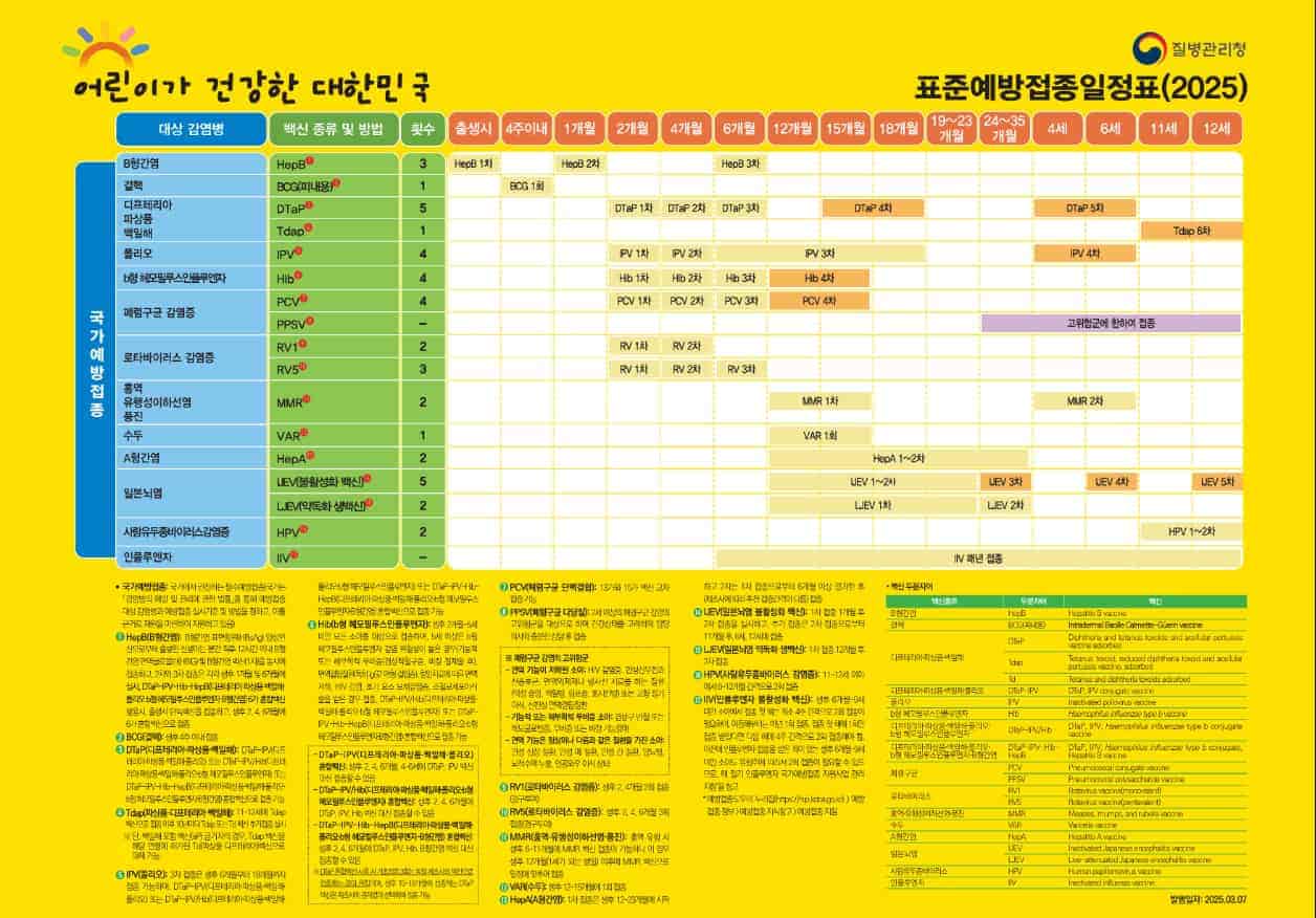 질병관리청제공 2025 표준예방접종일정표. 생후 0개월부터 만 12세까지 백신 종류, 횟수, 접종 시기를 월령별로 정리한 표.