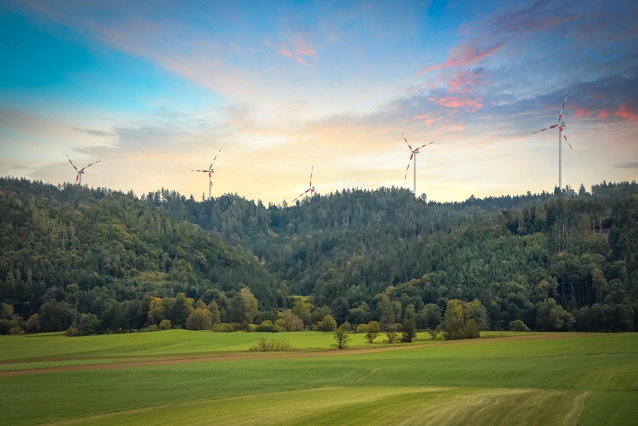 거제도 여행코스 관련사진