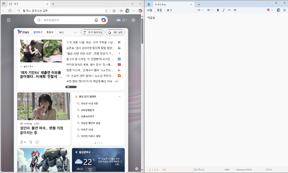 좌측에 문서, 우측에 브라우저가 스냅 어시스트로 배치