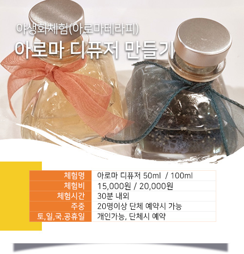 아로마 디퓨저