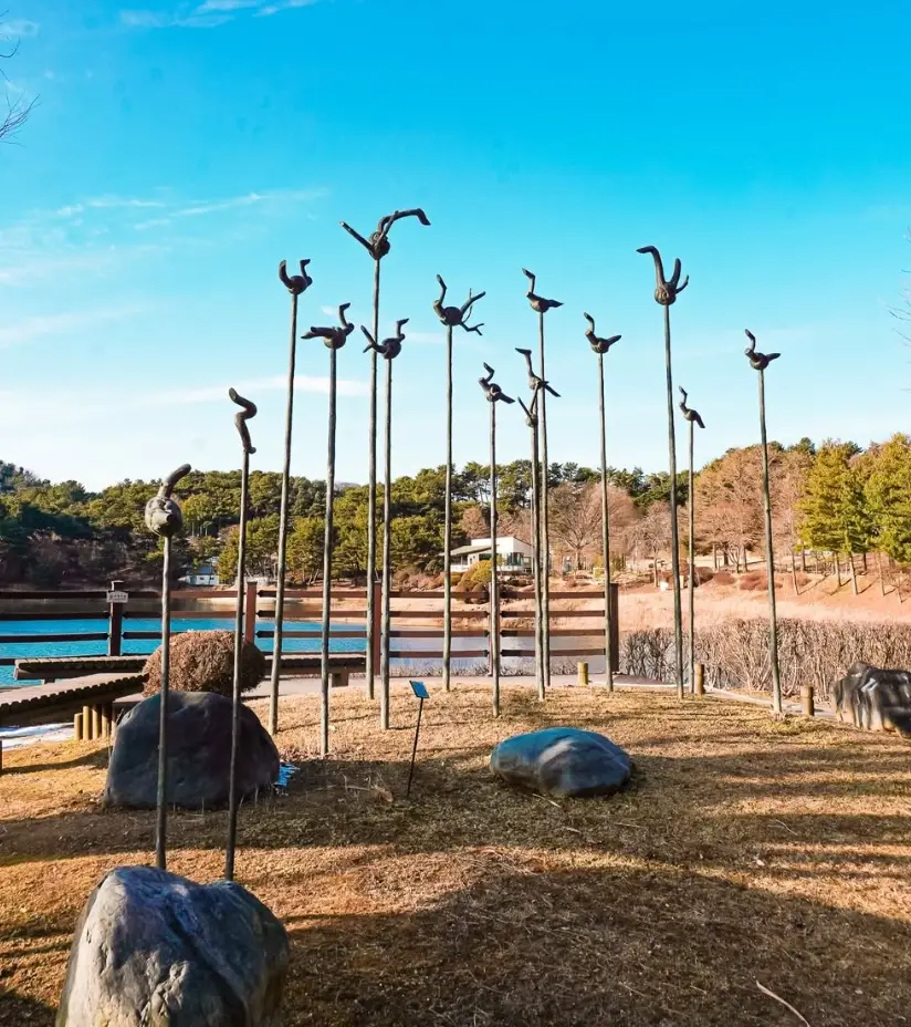 청남대-입장료-할인-무료-입장-관람시간