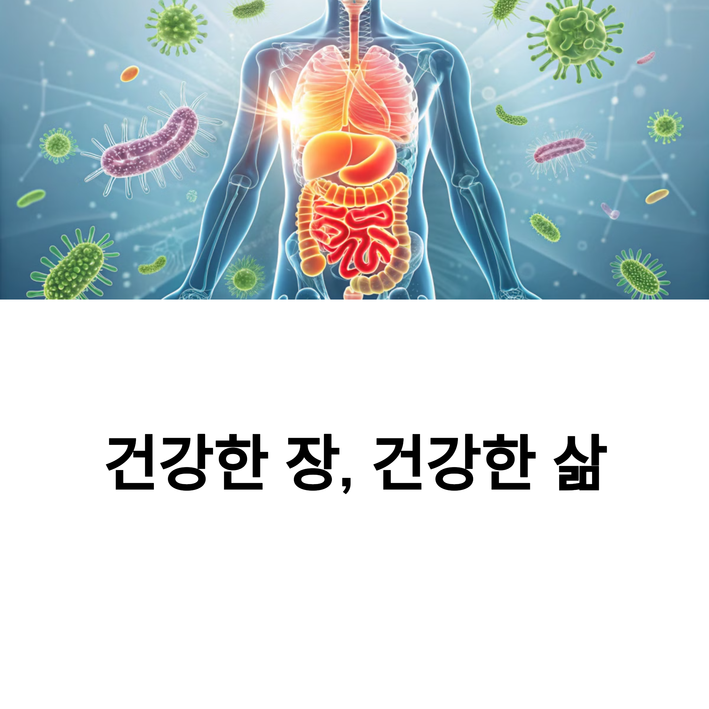 건강한 장, 건강한 삶