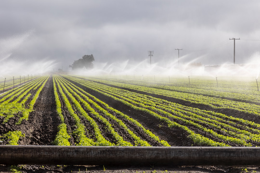 Agricultural Land